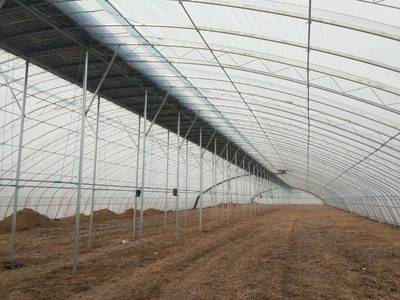 天津大棚管价格全解析 一亩温室钢管大棚建设成本详解
