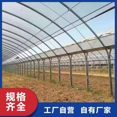 大棚管-温室大棚每一处都是匠心制作