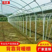 六安大棚及大棚管配件定制加工 葡萄避雨棚与温室大棚管全解析